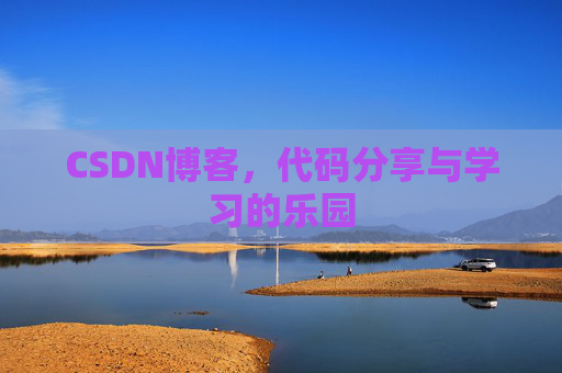 CSDN博客，代码分享与学习的乐园